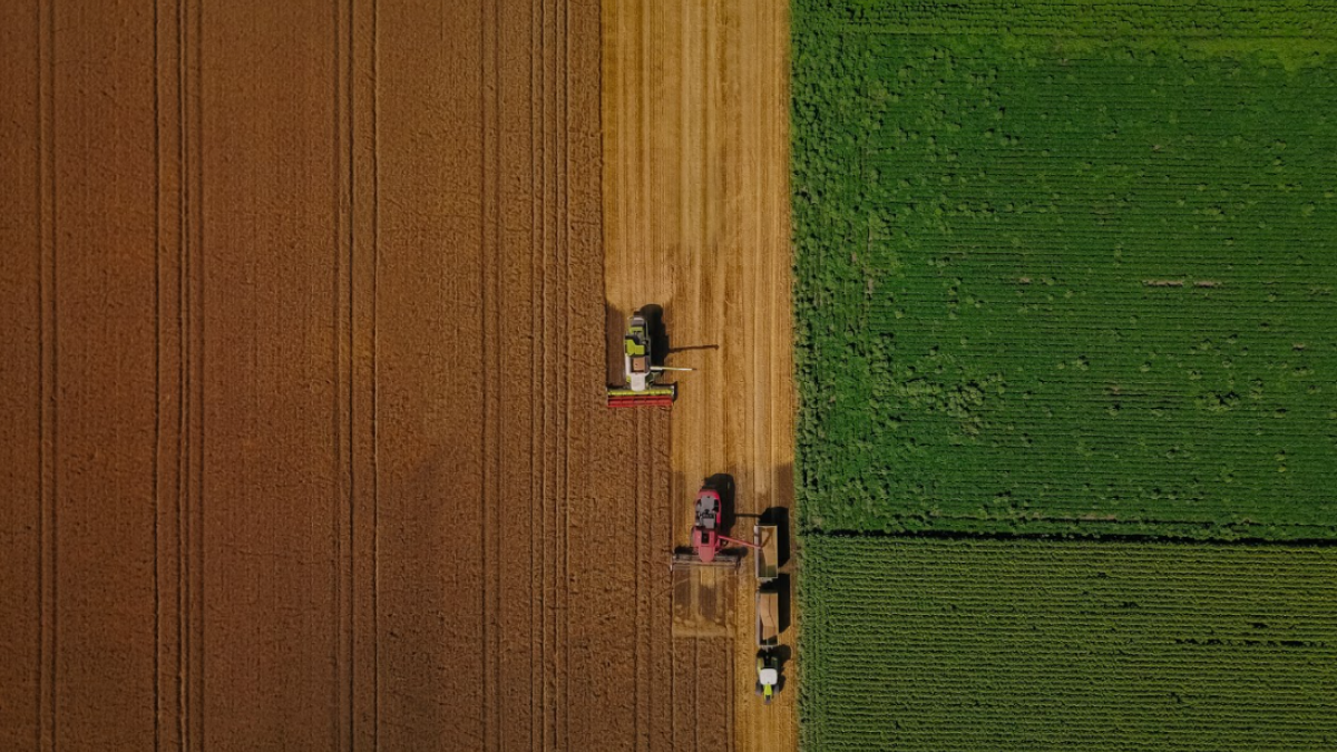 USDA disaster designation