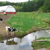 water farm
